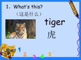 三年级下册英语课件-Unit 2 Animals at the Zoo Lesson 8 Tigers and Bears 1｜冀教版（三起）(共18张PPT)