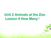 三年级下册英语课件-Unit 2 Animals at the Zoo Lesson 9 How Many？ 1｜冀教版（三起）(共19张PPT)