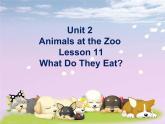 三年级下册英语课件-Unit 2 Animals at the Zoo Lesson 11 What Do They Eat？ 1｜冀教版（三起）(共18张PPT)