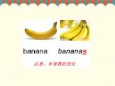 三年级下册英语课件-Unit 2 Animals at the Zoo Lesson 11 What Do They Eat？ 1｜冀教版（三起）(共18张PPT)