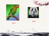 三年级下册英语人教精通版Unit  5    It's a parrot.Lesson27课件