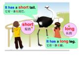 U3 B Let's learn 课件