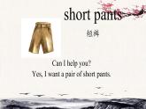 Unit 2 Can I help you？Lesson11課件