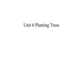 六年级上册英语课件-Unit 6 Planting Trees 粤人版（开心英语）