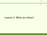 四年級(jí)下冊(cè)英語課件-Lesson 5  What are these？ 科普版