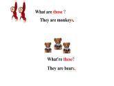 四年級(jí)下冊(cè)英語課件-Lesson 5  What are these？ 科普版