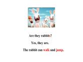 四年級(jí)下冊(cè)英語課件-Lesson 5  What are these？ 科普版