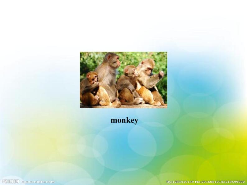 三年级下册英语课件-Unit 3 Food and Meals Lesson 12 The Clever Monkey ｜冀教版（三起）(共13张PPT)04