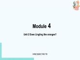 外研版（三起）三年级英语下册  Module4 Unit2（PPT课件音频）