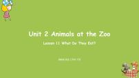 三年级下册Lesson 11 What Do They Eat?说课ppt课件