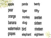 三年级下册PEP版英语教学课件Recycle2 lesson2 look and write
