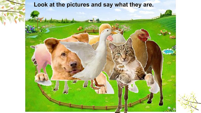 英语PEP四年级下册Unit4 At the farm B let’s talk课件+素材05
