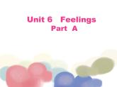 闵教版英语五年级下册Unit 6 Feelings Part A课件