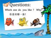 闵教版英语五年级下册Funny Fish课件