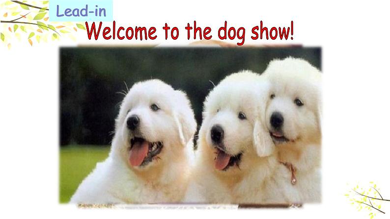 五年级下册PEP版英语Unit 5 Whose dog is it A Let’s learn & Look, say and complete课件+素材05