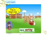 五年级下册PEP版英语Unit 5 Whose dog is it B Let’s learn & Let's play课件+素材