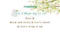 英语人教版 (PEP)Unit 5 Whose dog is it? Part B备课ppt课件