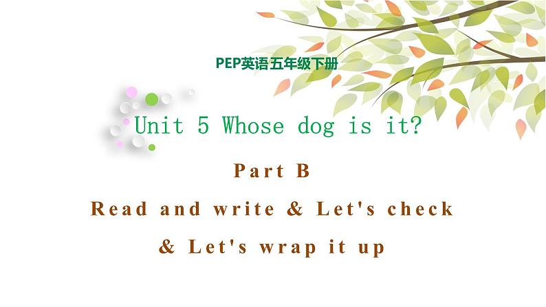 五年级下册PEP版英语Unit 5 Whose dog is it B Read and write & Let's check & Let's wrap it up课件+素材01