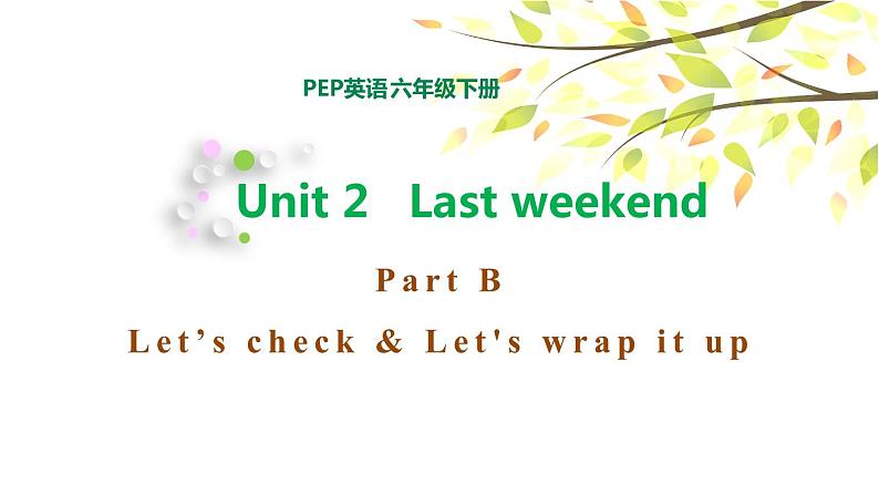 PEP六年级下册英语Unit 2 Last weekend B Let's check & Let's wrap it up课件+素材01