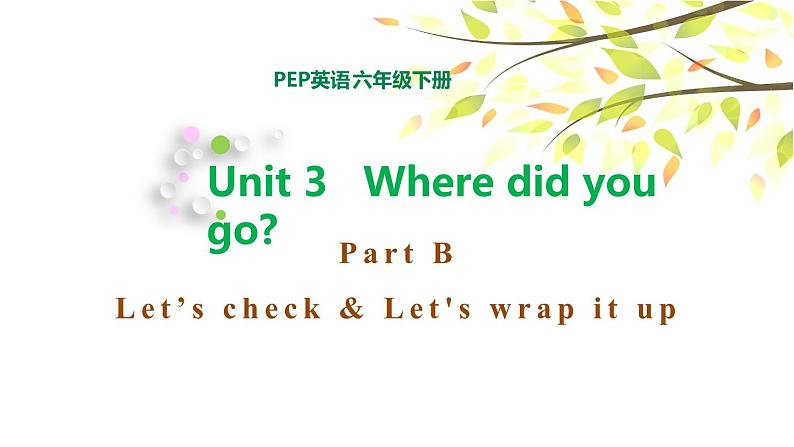 PEP六年级下册英语Unit 3 Where did you go B Let's check & Let's wrap it up课件+素材01