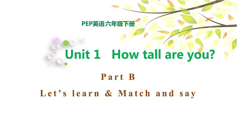 PEP六年级下册英语Unit 1 How tall are you B Let's learn & Match and say课件+素材01