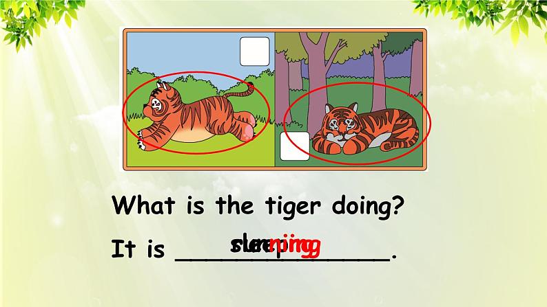 人教版（PEP）五年级英语下册 第六单元 Part A 第2课时 课件06