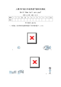 英语六年级下册单元综合与测试单元测试巩固练习