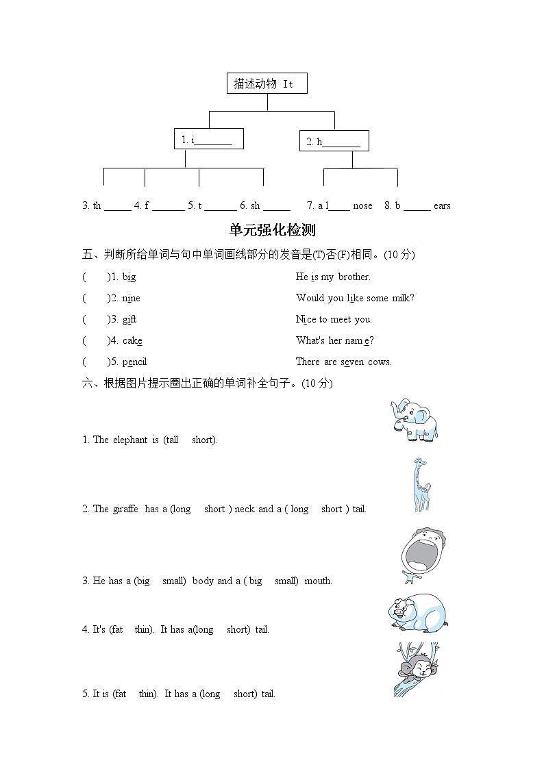 人教PEP版三年级英语下册 Unit 3单元知识梳理卷02
