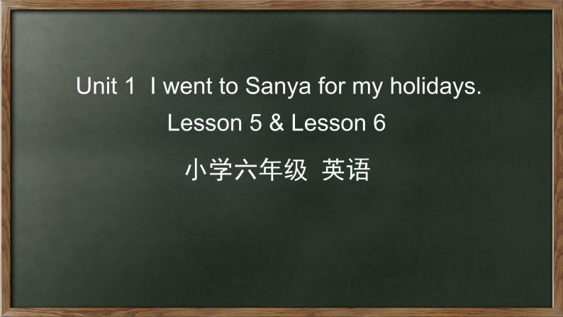 人教精通版六年级英语下册 Unit 1 Lesson 5-6课件01