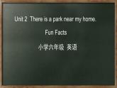 人教精通版六年级英语下册 Unit 2 Fun Facts课件