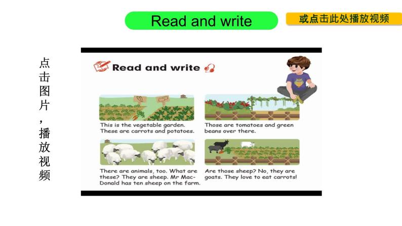 PEP小学英语四年级下册 unit  4  At  the  farm  Part B Read and write&Let's check&Part C Story time课件+教案08