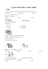 六年级下册英语试题-小升初专项训练之句子 通用版（含答案解析）
