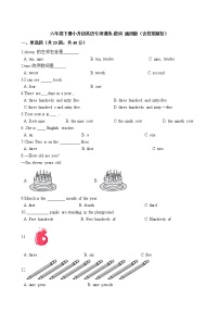 六年级下册英语试题-小升初专项训练之数词  （含答案解析）  通用版