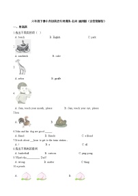 六年级下册英语试题-小升初英语专项训练 名词 通用版（含答案解析）