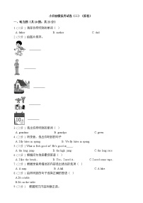 六年级下册英语试题-小升初模拟考试卷（三）通用版（含听力音频+原卷+解析卷）