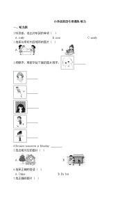 六年级下册小升初英语专项训练-听力 通用版（含听力音频）