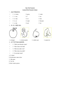 小学英语冀教版 (三年级起点)四年级下册Unit 4 My Favourites综合与测试优秀一课一练