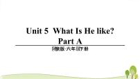 小学英语陕旅版六年级下册Unit 5 What Is He like？教学ppt课件