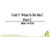 陕旅版英语六年级下Unit 5 part C教学课件