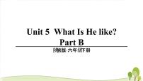 小学英语陕旅版六年级下册Unit 5 What Is He like？教学ppt课件