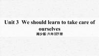 湘少版六年级下册Unit 3 We should learn to take care of ourselves教学课件ppt