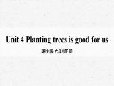 [湘少版]六年級下冊英語Unit 4 教學課件