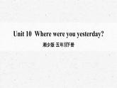 [湘少版]五年级下册英语Unit 10教学课件