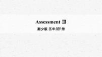 小学Assessment Ⅲ教学ppt课件