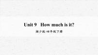 小学湘少版Unit 9 How much is it?教学课件ppt