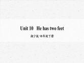 湘少版四年级下册英语Unit 10教学课件