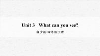 湘少版四年级下册Unit 3 What can you see?教学课件ppt