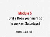 外研版三年级下册英语Module 5 Unit 2教学课件