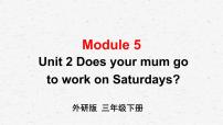 小学英语外研版 (三年级起点)三年级下册Unit 2 Does your mum go to work on Saturdays?教学课件ppt