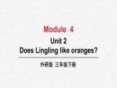 外研版三年级下册英语Module 4 Unit 2教学课件
